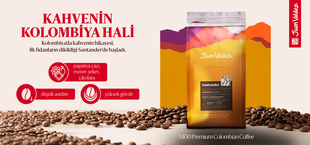 Ayın Kahvesi Santander
